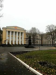 Вгту воронеж телефон