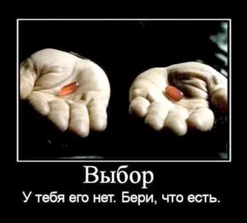 Муки выбора