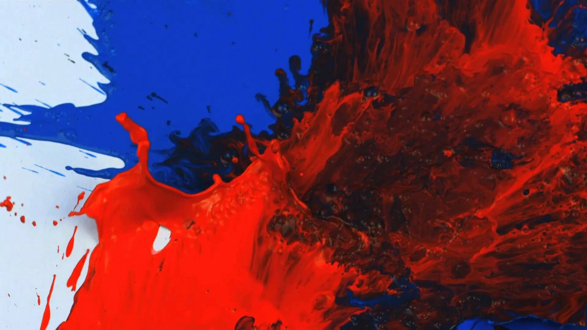Взрыв красок. Красный и синий. Фон краски. Картины в красно оранжевых тонах. Абстрактная живопись.