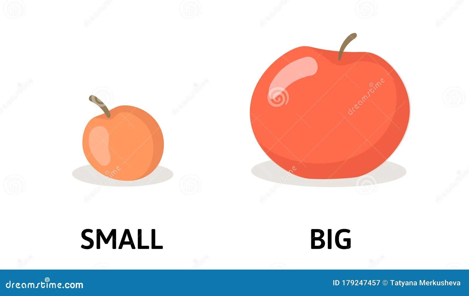 Small big com. Карточки big small. Big small для детей. Big and small Apple. Big small картинки для детей.