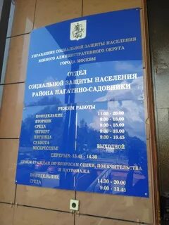 Телефоны нагатино садовники