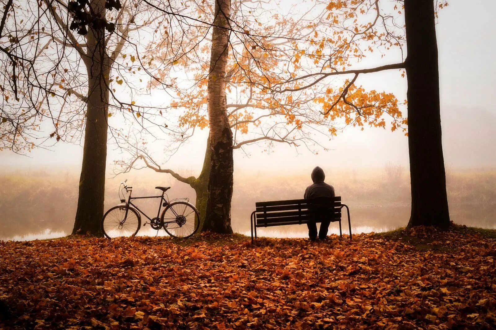 Осень грустит. Осень одиночество. Осенний парк. Одиночество осенью. Осень люди.