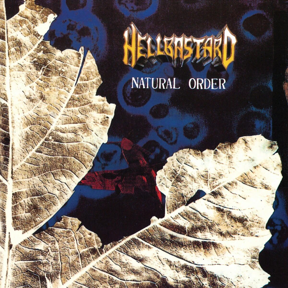 Natural order hypothesis. Natural order hypothesis. Krashen's 5 hypothesis. Krashen language acquisition theory. Natural ordering.