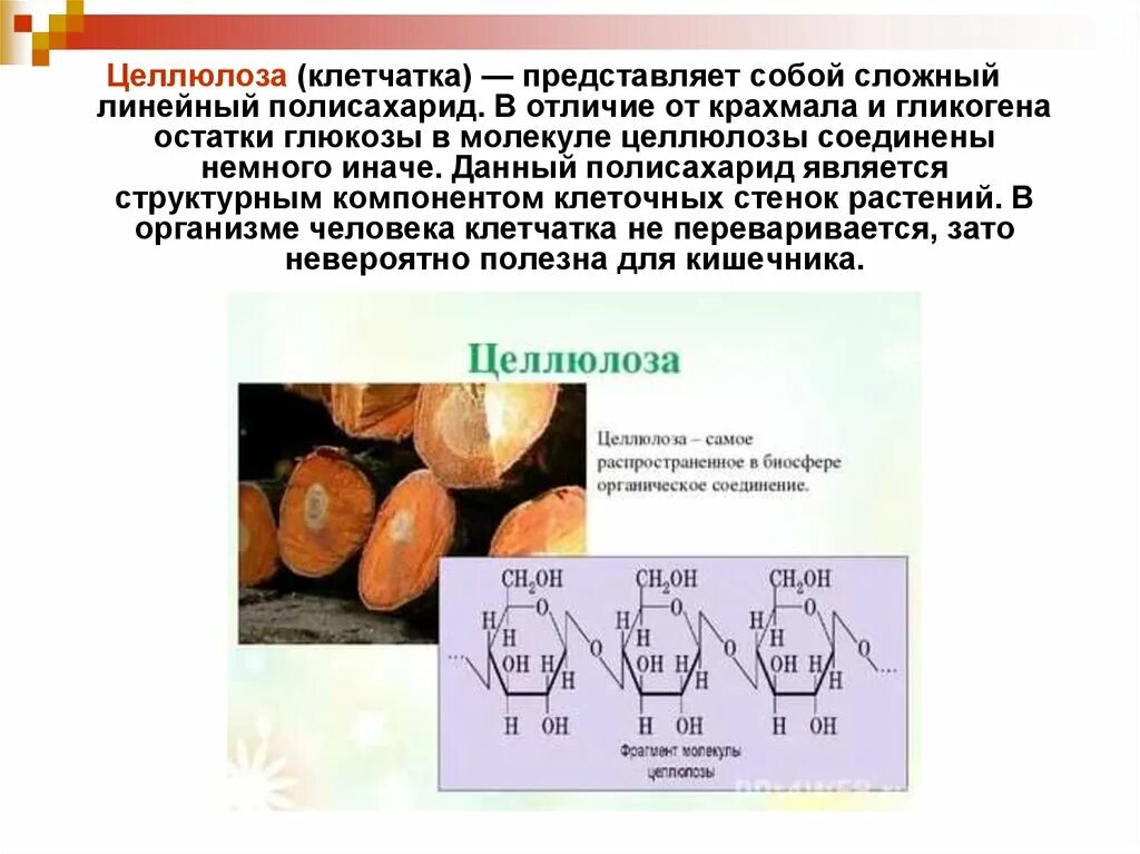 Какую функцию в организме выполняет крахмал. Полисахариды клетчатка гликоген крахмал разница. Строение гликогена и целлюлозы. Крахмал гликоген Целлюлоза. Строение целлюлозы представляет собой линейный.