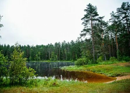 Псковская область ленинградская область