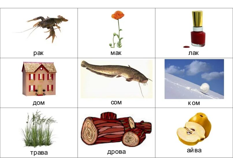 Звуки схожие по звучанию. Дифференциация слов сходных по звучанию. Рифма в картинках для детей. Дифференциация слов близких по звучанию. Звуки в слове сын