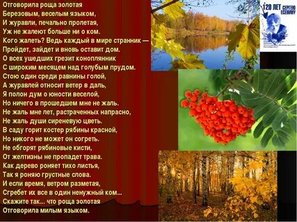 Есенин в саду горит