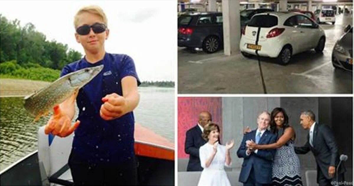 последние подборки. последние подборки. фото от которых комфортно. новый хитовый сборник. волосы в цвет флага.