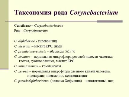Характеристика таксономии