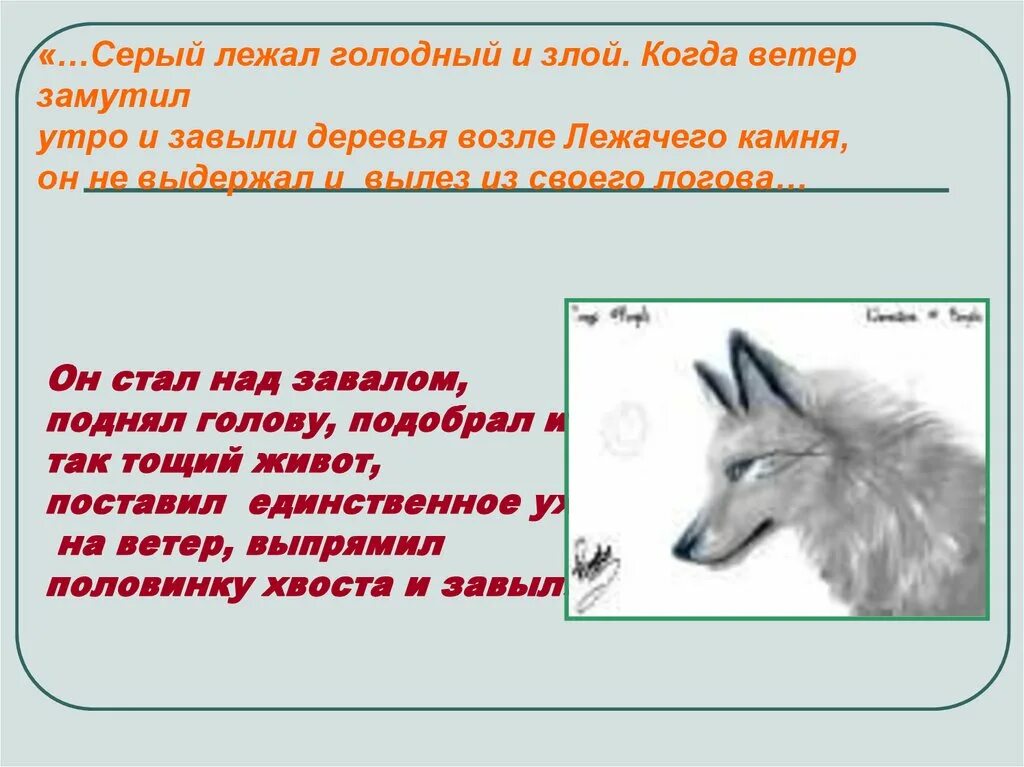 Голодно определения. Серый помещик кладовая солнца. Кладовая солнца волк серый помещик. Описания серого помещика. Характеристика серого помещика.