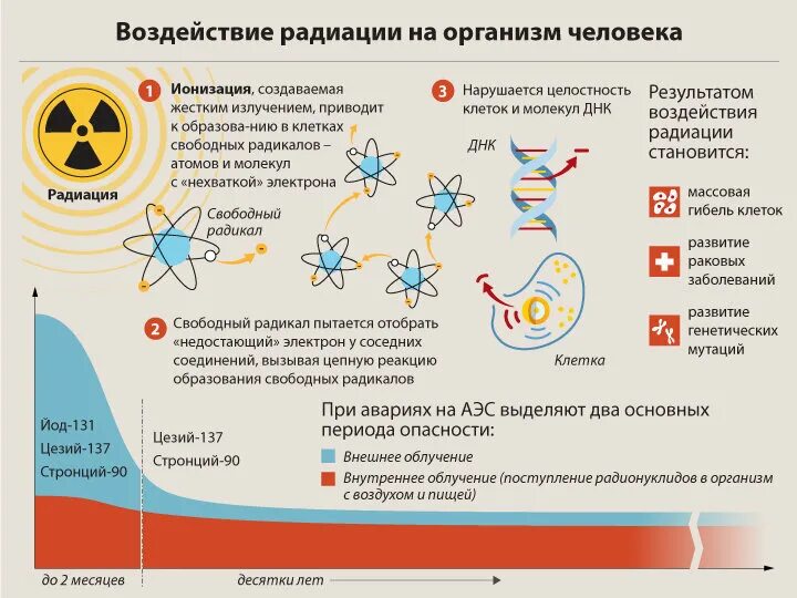 Действие радиационного излучения на организм человека. Воздействие излучений на организм человека. Воздействие радиации на организм. Воздействие радиоактивного излучения на человека. Какое влияние на организм оказывает проникающая радиация.