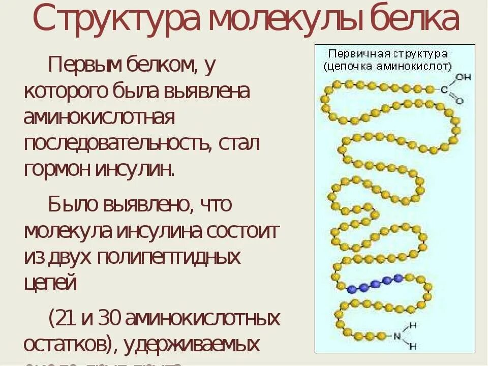 Первые белковые. Первичная структура белка инсулина. Инсулин строение молекулы. Структура молекулы белка. Инсулин структура белка.