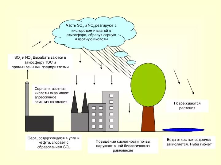 Влияние серы на окружающую среду. Кислотные дожди и их влияние на окружающую среду. Схема образования кислотных дождей кратко. Образование кислотных дождей и их воздействие на окружающую среду.. Влияние кислотных дождей на окружающую среду.