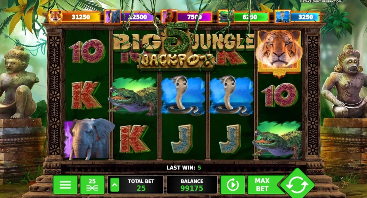 Big bamboo играть play1. Игровой автомат Jungle. Jungle Spirit игровые автоматы. Игровой автомат Celebrity in the Jungle. Игра про казино в джунглях.