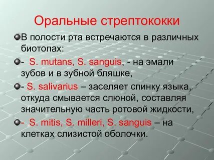 Стрептококк во рту
