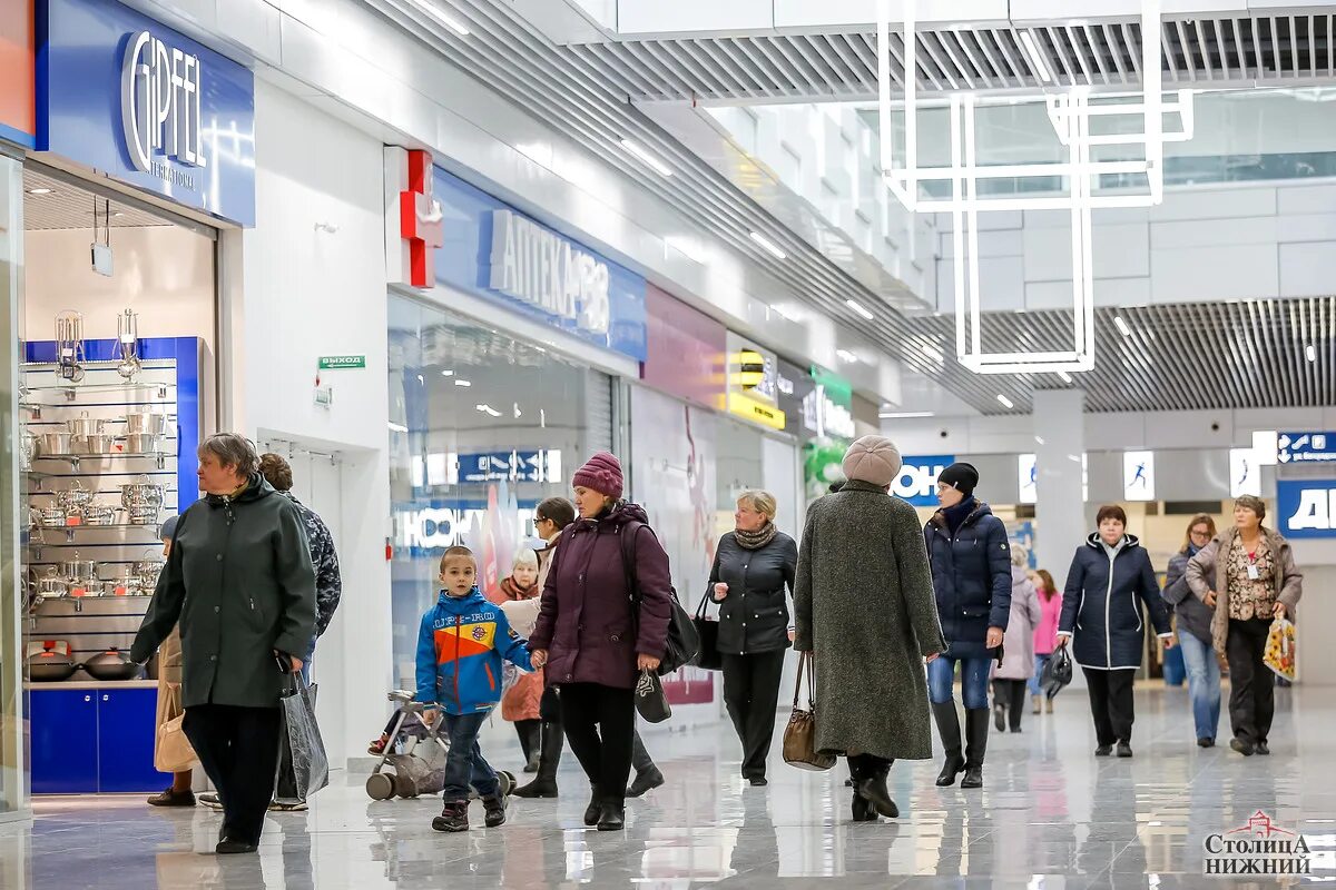 магазин птиц нижний новгород