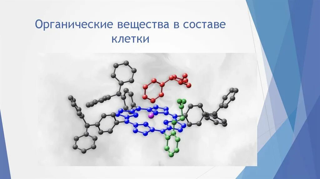 Химические соединения биология