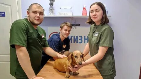 Ветклиники калуга отзывы