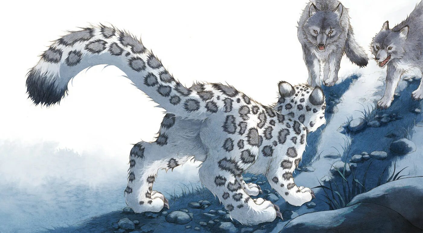 Shortacon dragonsnow. Changed снежный леопард furry. Снежный барс фурри. Dragonsnow changed. Снежный леопард changed арты.