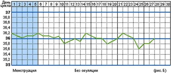 Цикл без овуляции. Ановуляторный цикл график базальной температуры. Ановуляторный цикл базальная температура. График базальной температуры с овуляцией. График БТ ановуляторный цикл.