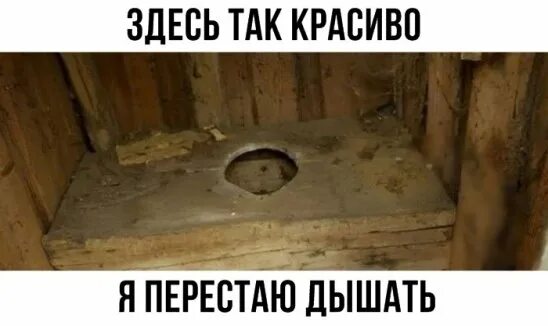 Деревенский туалет Мем. Мемы про деревенский туалет. Мемы про дачный туалет. Мемы приколы про сельский туалет.