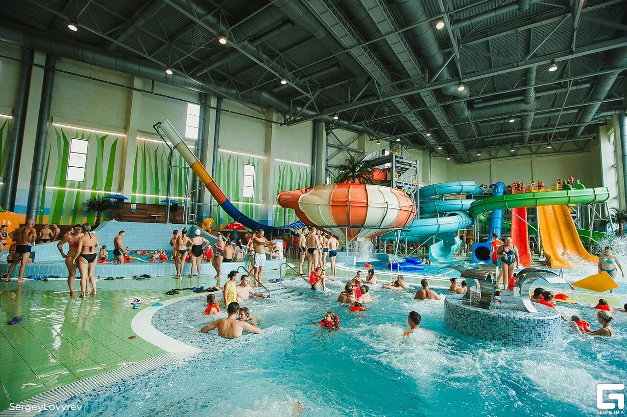 нижний новгород отдохнуть с детьми. арлепарк калининград. парковый аквапарк «акула-каракула» в измайловском парке. сормовский парк аквапарк карибы. лагерь эволюция нижегородской области.