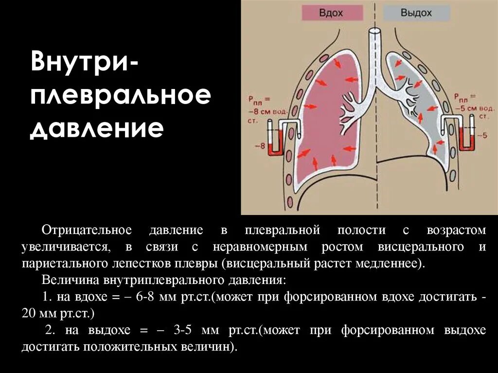 Внутриплевральное давление. Изменение давления при вдохе и выдохе. Плевральная полость. Изменение плеврального давления при вдохе и выдохе.