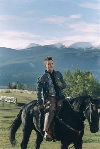 Robbie williams horse. Willing horse. Вильямс хорс. Почему лошадь. Упряжные породы лошадей.
