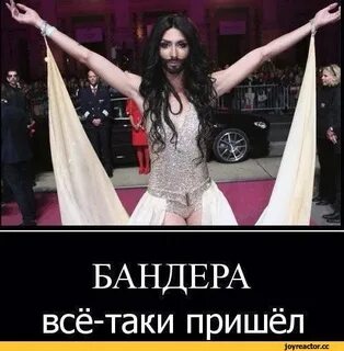 Вернулась таки