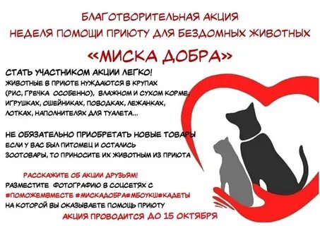 Помощь животным примеры