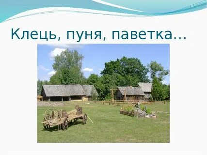 Пуня что это