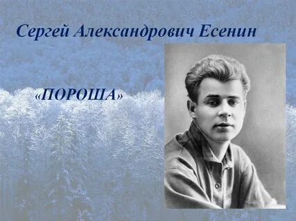 Есенин пороша там где капустные грядки