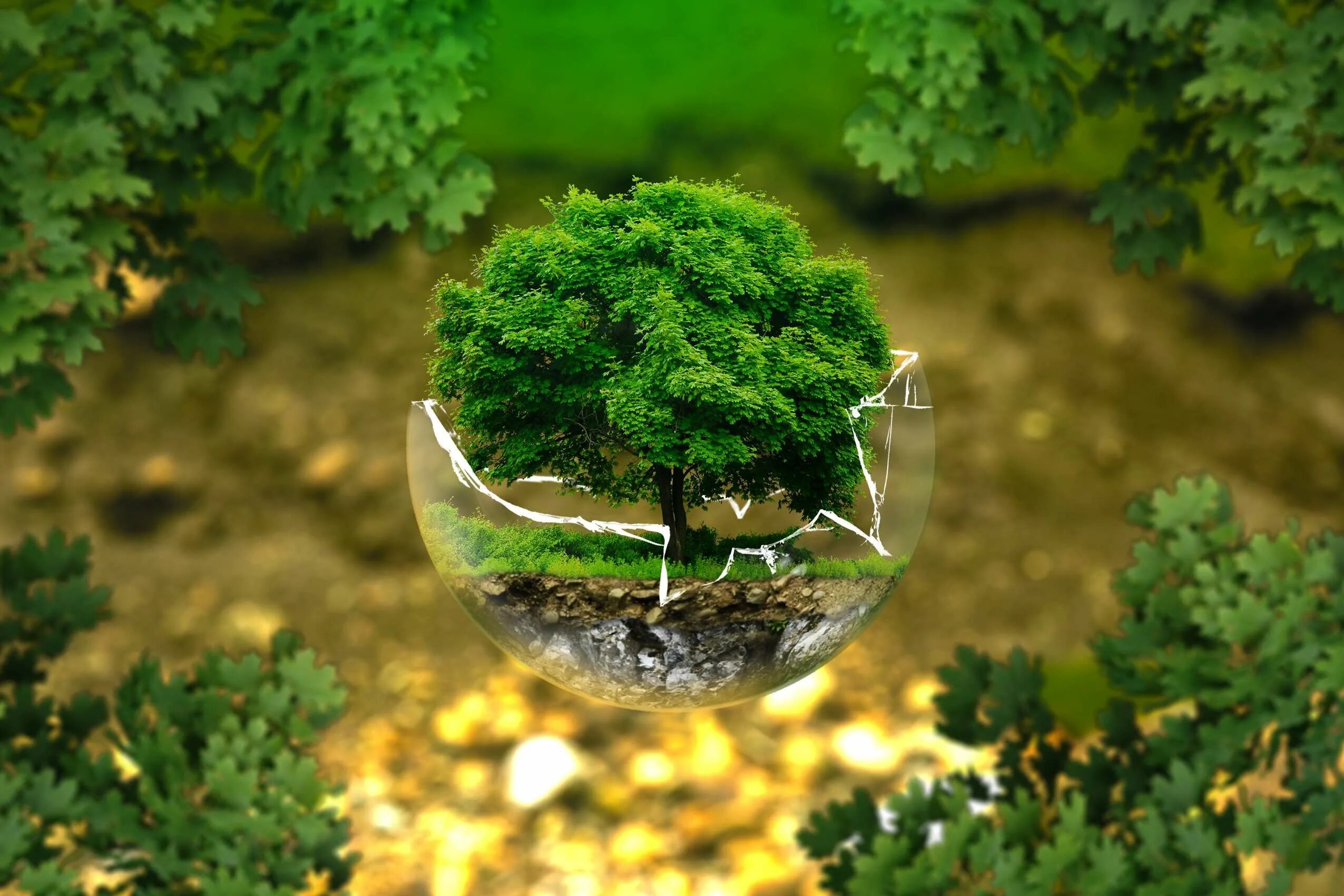 Environment pictures