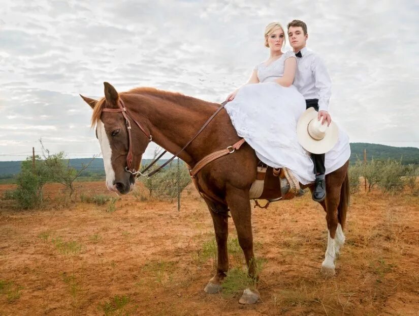 Похожее изображение Horses, Animals, Art