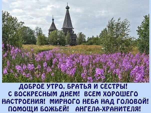 Пришла к брату утром. Благословенного воскресного утра и дня. Доброго воскресного дня Православие. Благословенного дня православные. С воскресным днём православные.