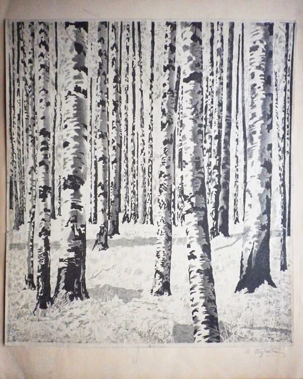 Березовая роща график работы. Березовая роща график работы. Пейзажи владимира усянова. Березовая роща график работы. Панно березовая роща.