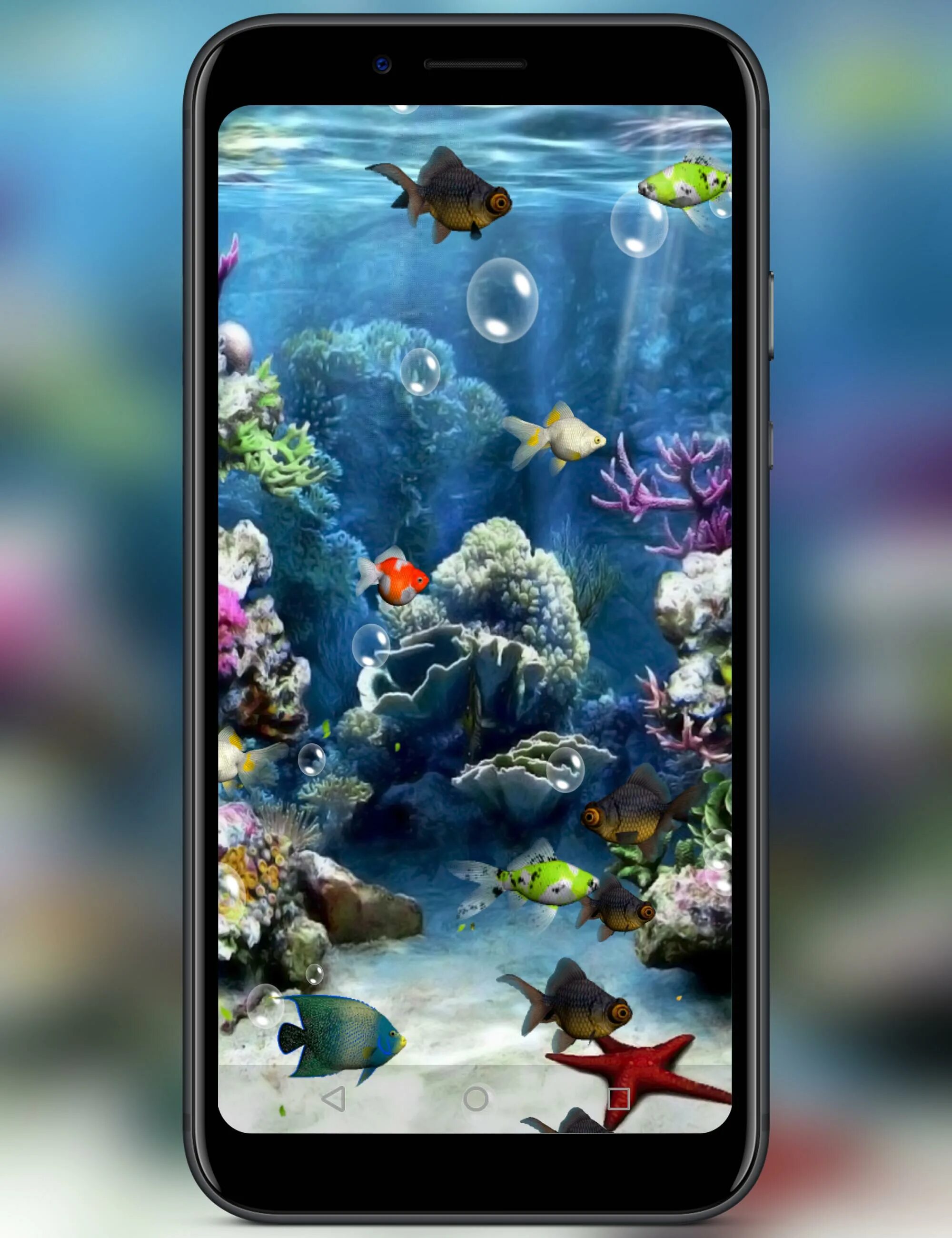 Живой аквариум андроид. Живой аквариум. Аквариум 3д. Живые рыбки. Аквариум на заставку телефона андроид.