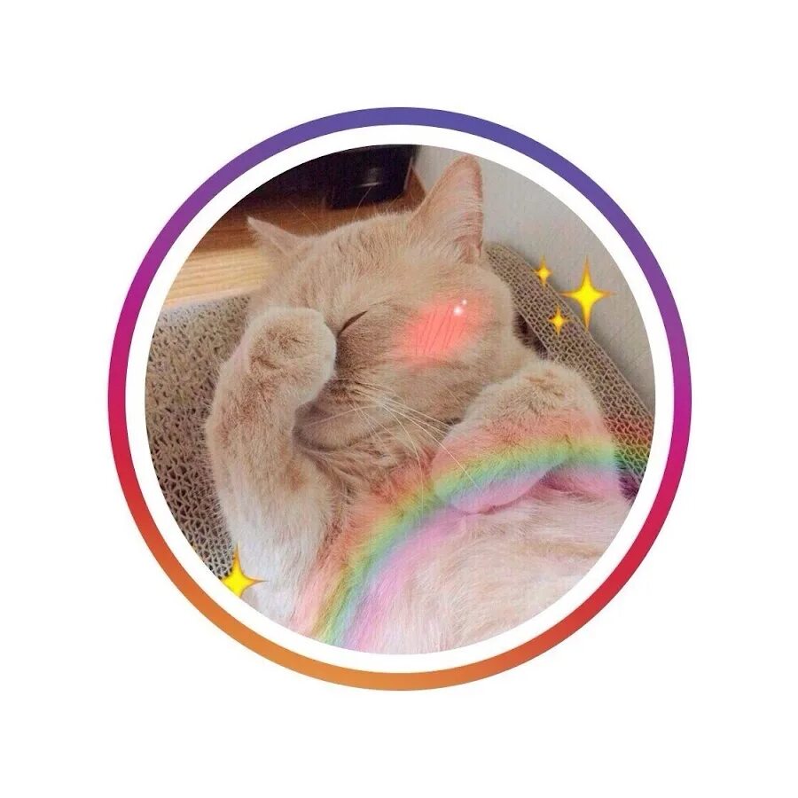 Sonya kot. Соня котик. Sonya kot. Котик сонечка. Sonya kot.