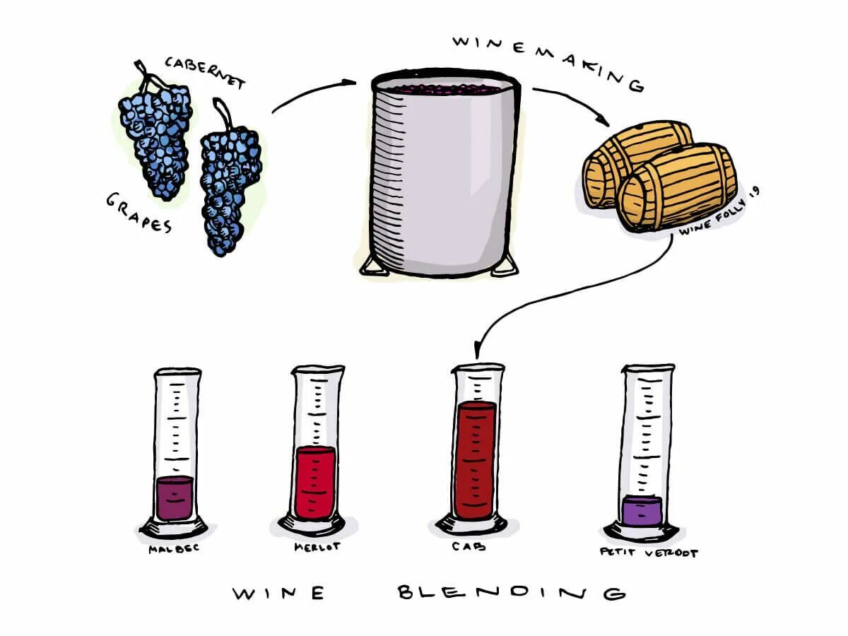 Wine processing