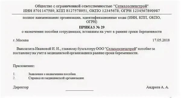 Заявление на раннюю постановку на учет. Пособие на ранние сроки беременности приказ. Приказ при постановке на учет в ранние сроки беременности. Образец приказ на выплату пособия. Приказ о выплате о выплате пособия.