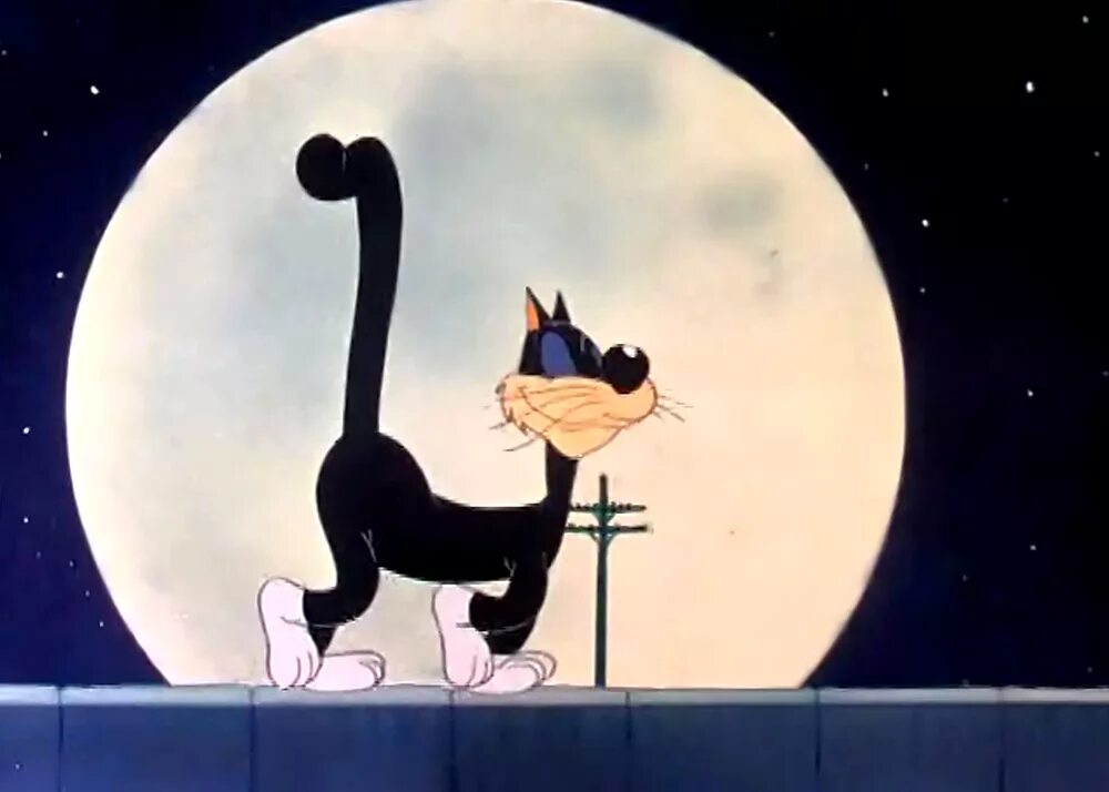Коты на крыше. Котик на Луне. Коты на крыше ночью. Лунный кот мультяшный. Гуляющая кошка песня
