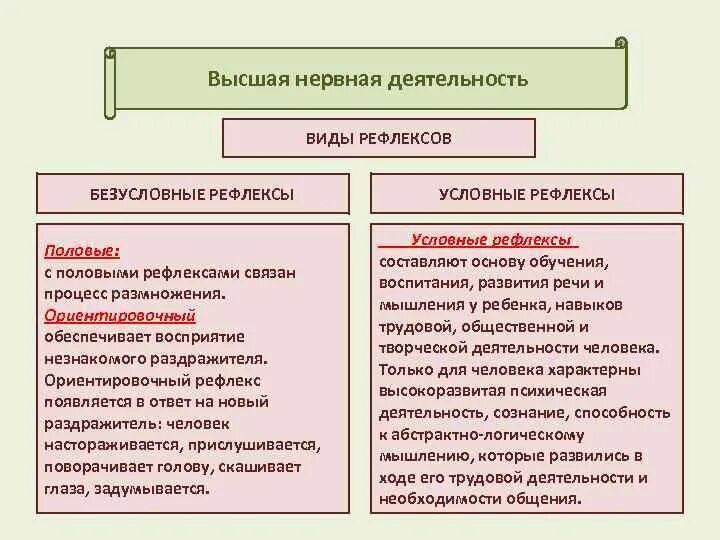 Функции высшей нервной деятельности человека. Понятие о высшей и низшей нервной деятельности. Виды рефлексов таблица. Высшая и Низшая нервная деятельность условные и безусловные рефлексы. Рефлексы и речь