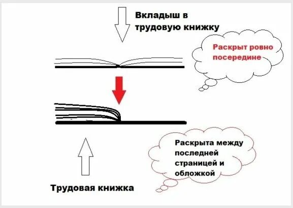 Книжке или книжки как правильно. Книжке или книжки как правильно