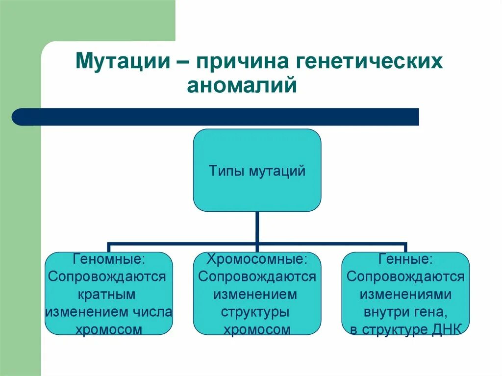 Мутации по генотипу. Причины мутаций. Типы мутации причины наследственная. Генные мутации сопровождаются изменением. Тип мутации внутри Гена.