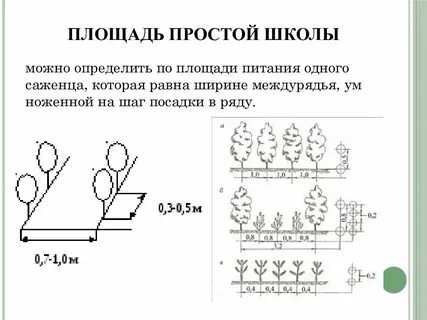 Между рядами сколько