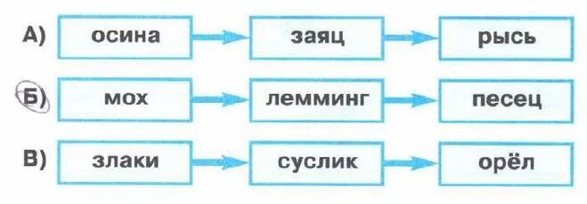 Составить пищевую цепь тундры. Схема цепи питания в тайге 4 класс окружающий мир. Схема цепи питания характерной для тайги. Схема цепи питания характерной для тундры. Схема пищевой цепи тайги.