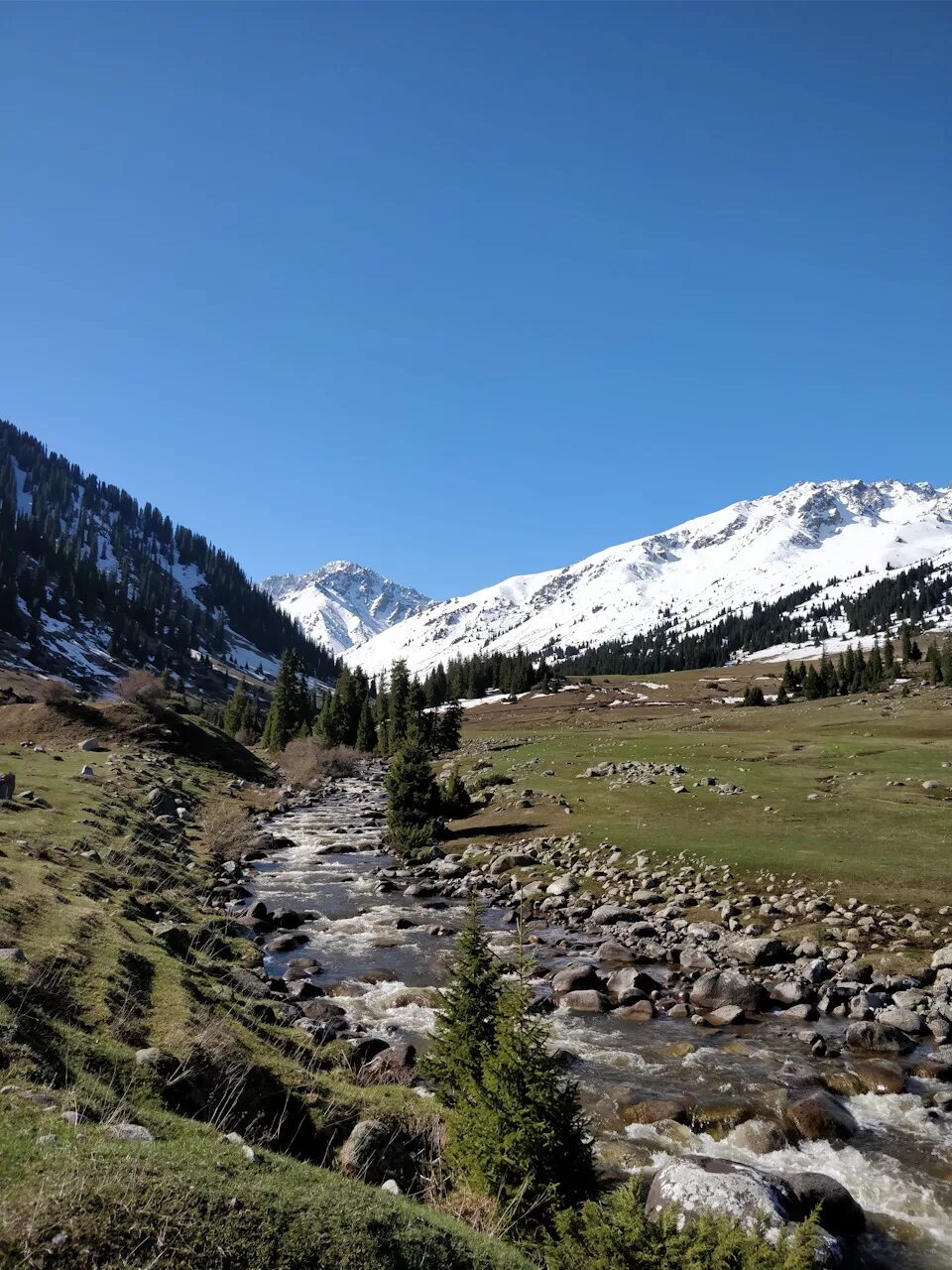 Кыргызстан город чолпон ата. Как выглядит киргизия. Горы вокруг бишкека. Ущелье ала арча бишкек. Горы кыргызстана.