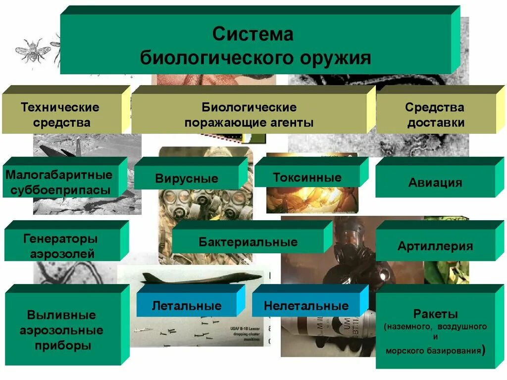 Биологические средства бактериологического оружия