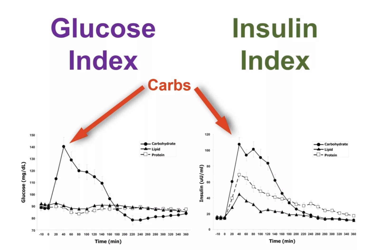 Index line. Insulin index. индекс инсулина. инсулин при снижении веса. insulin index footage.