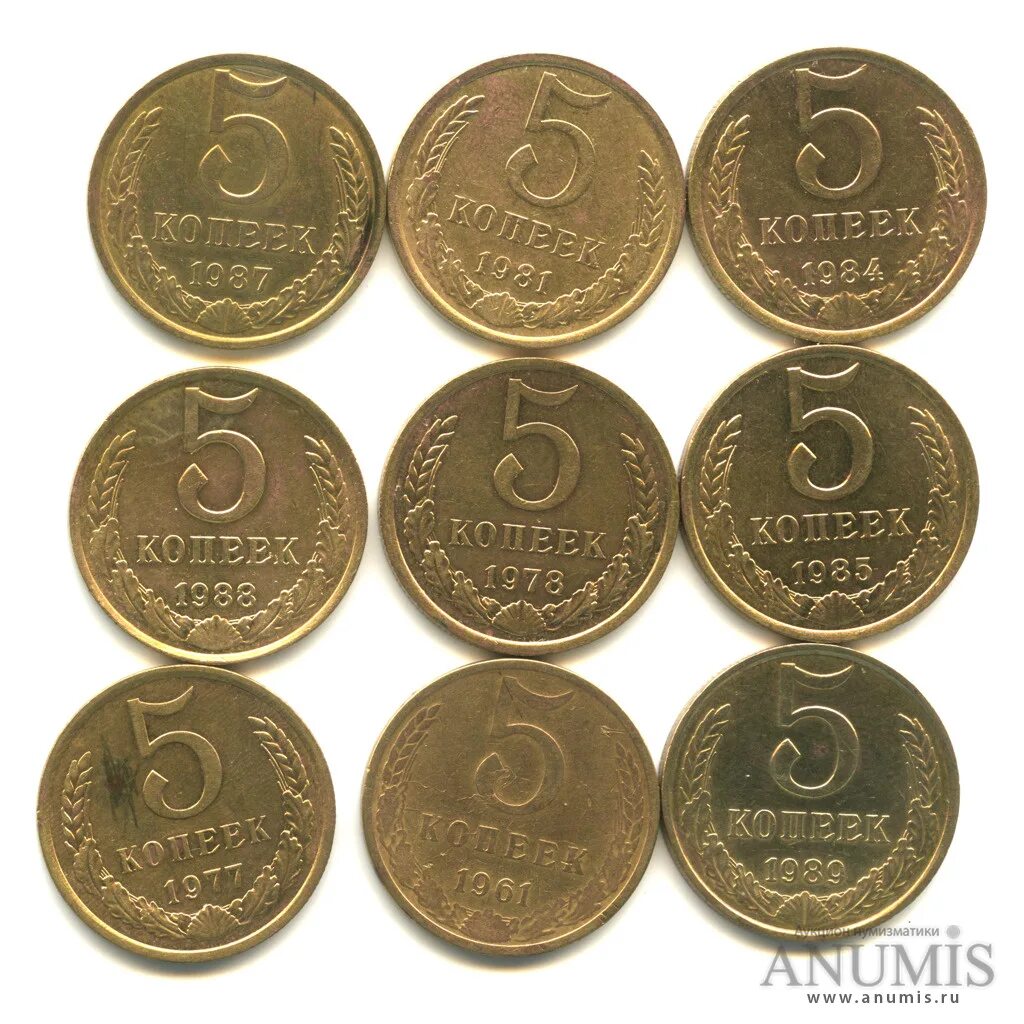 5 копейки 1961 года цена стоимость монеты. 5 Копеек 1961. 5 Копеек 1961 СССР. Монета 5 копеек 1961. Монета 5 копеек СССР.